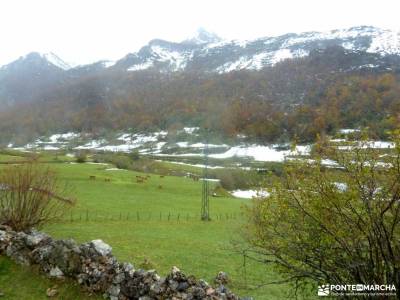 Parque Natural Somiedo;sierra de huetor sierra de tentudia mapa alpujarra granadina